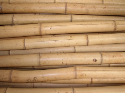 Bambusová tyč  průměr 8 cm, délka 2 metry - podélně prasklá