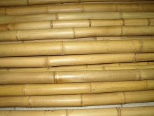 Bambusová tyč 3- 4 cm, délka 100 cm podélně prasklá